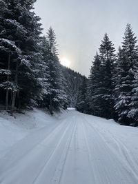 Snow covered road amidst trees against sky