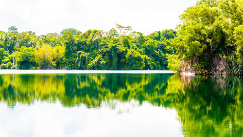 Scenic view of lake in forest against sky