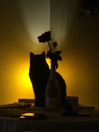 Silhouette flower vase on table against sky during sunset