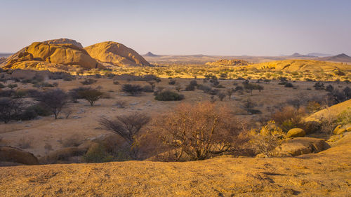 Scenic view of landscape against clear sky