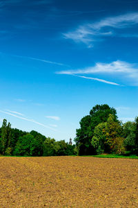 Scenic view of agricultural field against blue sky