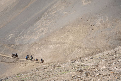 group of people