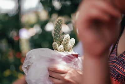 Close-up of person holding ice cream