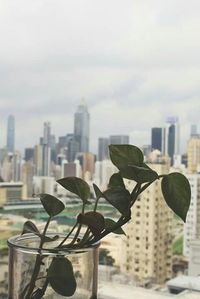 View of buildings in city