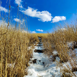 Scenic view of land against sky during winter