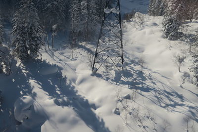 Scenic view of snow covered field and trees