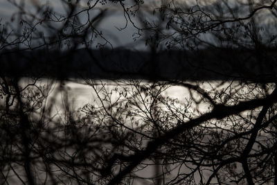 Silhouette bare trees on landscape against sky