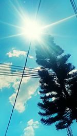 Low angle view of tree against bright sun