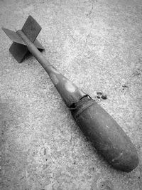 Close-up high angle view of leaf