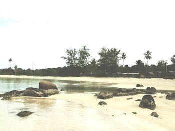 Surface level of beach