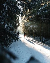 Woman walking on snow covered land
