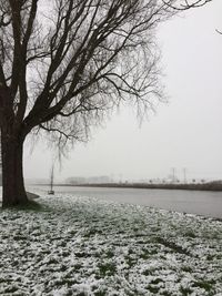 Bare trees on snow covered field against sky