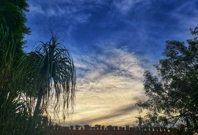 Low angle view of silhouette palm trees against sky