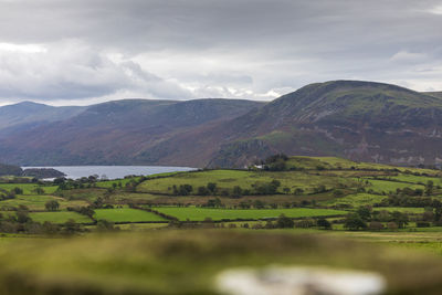 Scenic view of agricultural landscape against sky