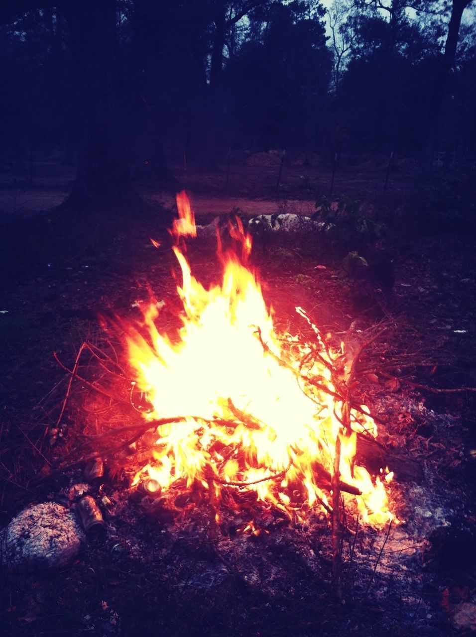 burning, flame, fire - natural phenomenon, heat - temperature, bonfire, glowing, firewood, fire, campfire, heat, orange color, night, motion, forest, outdoors, long exposure, nature, wood - material, no people, sunlight