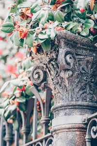 Close-up of statue on flowering plant