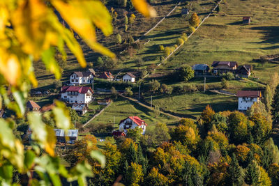 High angle view of trees and plants on field