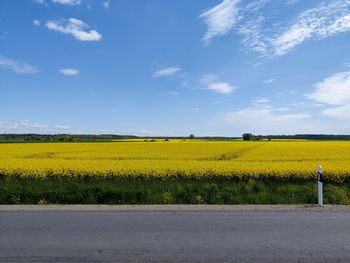 Scenic view of oilseed rape field against sky