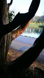 Reflection of trees in water against sky