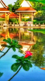 Reflection of trees in pond