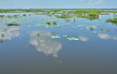 Scenic view of lake against sky