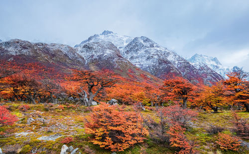 Scenic view of snow covered mountain against sky