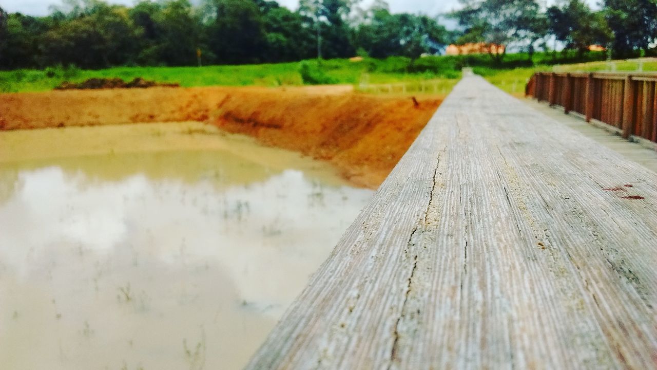 the way forward, tree, diminishing perspective, tranquility, water, grass, nature, tranquil scene, vanishing point, day, river, built structure, wood - material, field, growth, landscape, outdoors, rural scene, no people, reflection