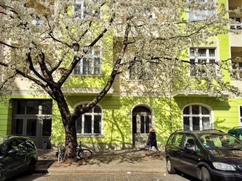 Building with trees in background