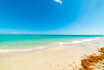 Scenic view of beach against blue sky