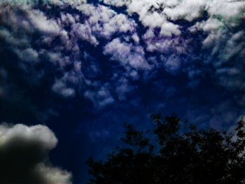 Low angle view of trees against blue sky