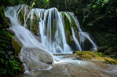 Scenic view of waterfall in forest