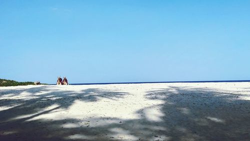 Scenic view of beach against clear blue sky