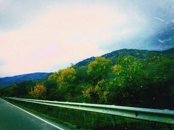 Road by trees against sky