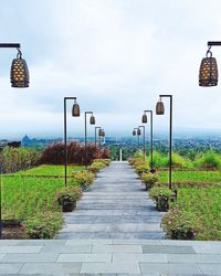 Footpath amidst plants on street against sky