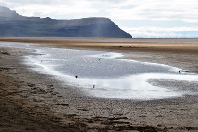 Scenic view of beach against sky