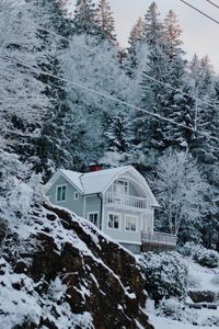 Winter house