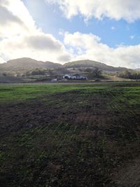 Scenic view of field against sky