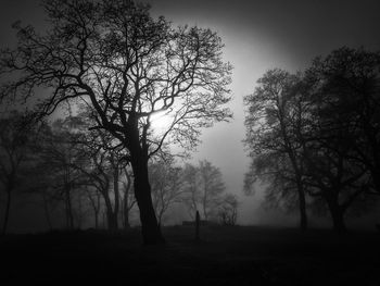 Silhouette trees on field against sky during foggy weather