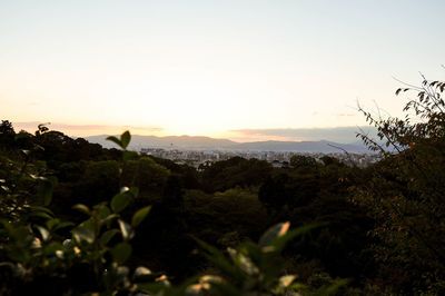 Scenic view of landscape against clear sky during sunset