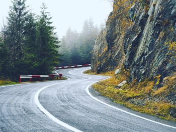 Road amidst trees in forest during winter