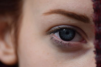 Cropped portrait of woman eye