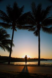 Silhouette palm trees on beach against sky during sunset