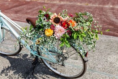 Bicycle on street