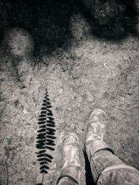 Low section of man standing on ground