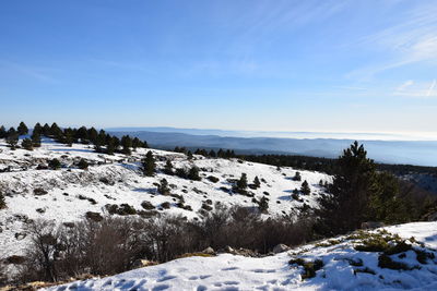 Scenic view of landscape against blue sky during winter