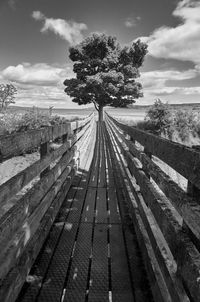 View of railroad tracks by trees against sky