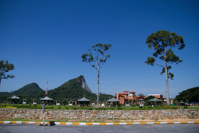 Empty road along houses and trees against clear blue sky