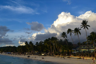 View of trees on beach against cloudy sky