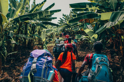 Rear view of people walking outdoors