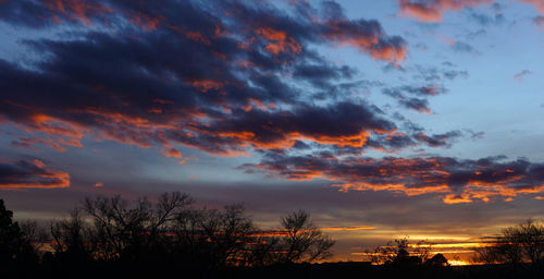 Low angle view of silhouette trees against sky at sunset